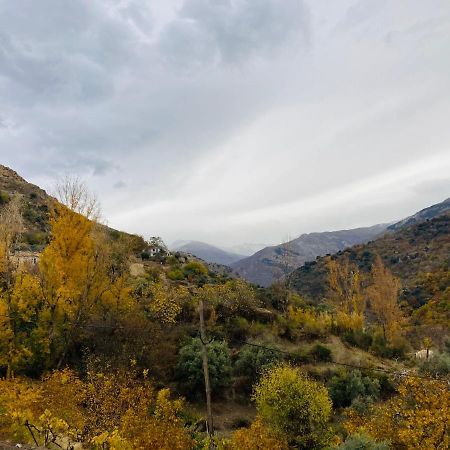 El Hogar De Mercedes Güéjar Sierra Zewnętrze zdjęcie